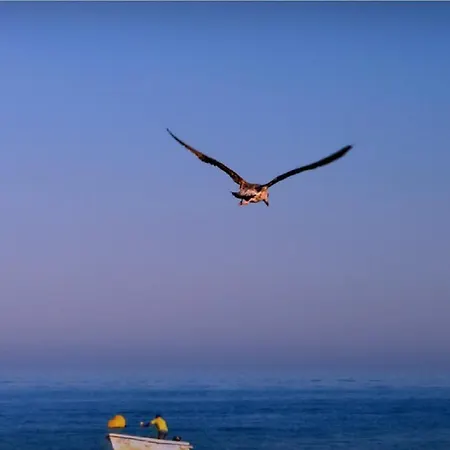 Marachique Διαμέρισμα