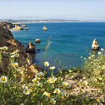 Marachique Alvor