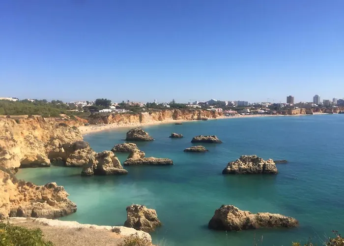 Marachique * 알보르