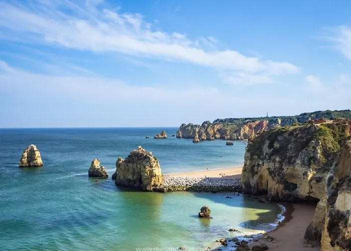 Marachique 알보르