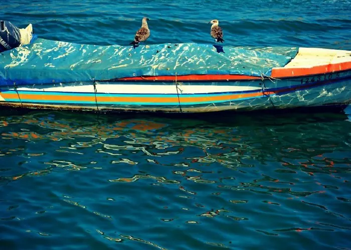 아파트 Marachique 알보르