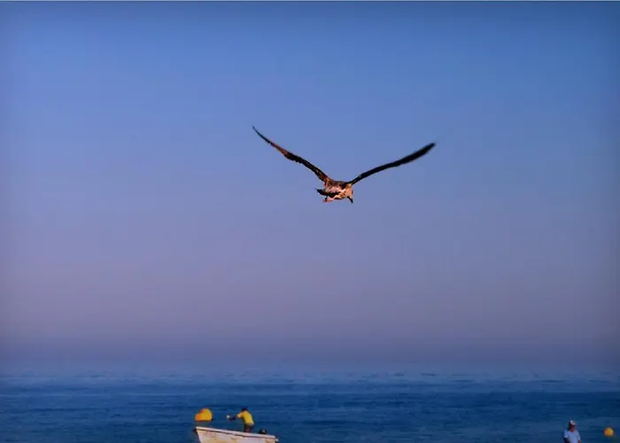 Marachique 아파트