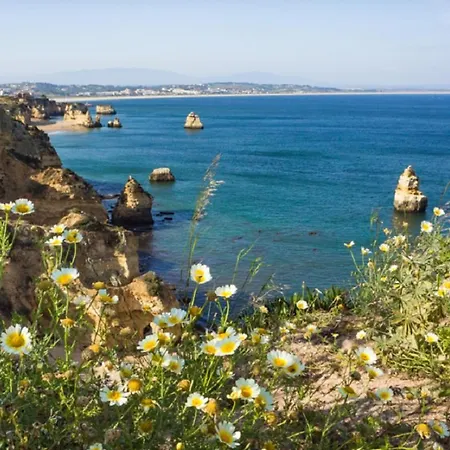 Marachique 阿尔沃尔