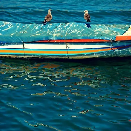 公寓 Marachique 阿尔沃尔